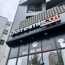 힐링캣 | 다산프리미엄아울렛 쇼핑 후, 특별한 힐링코스! 도레미캣 방문 후기