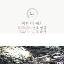 백두수산 네이버블로그