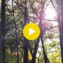 산책하는날 이미지