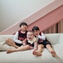 어린이날 기념 가족 청도여행 굿스파키즈풀빌라 소싸움미디어체험관 소싸움경기장 군파크루지 할인정보