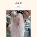 도하동물병원 이미지