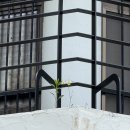 시립미술관(팔각정) 이미지