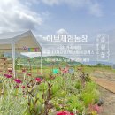 하이아르떼