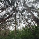 연합통신 - 서구 달서로 166 | [공지] 구미 금오산 등산코스 후기｜현월봉 정상석 2개·약사암·도선굴 원점회귀 코스