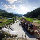 금산관광농원 | 금산숙소 비단골펜션관광농원 단체MT 가능한 대전근교 펜션 가격 위치 룸컨디션
