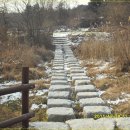 마산동할먼네집 이미지