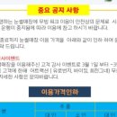 양지파인리조트 눈썰매장 네이버블로그