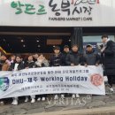 글로벌제주문화협동조합 이미지