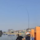 강화선두바다낚시터 이미지