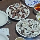 노벨리조트 | 함덕해수욕장 바로 앞 제주 가족숙소 추천｜소노벨 제주 후기