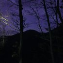 무풍면006 Daum카페