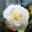 오늘의 날씨와 뉴스(1.30) 이미지