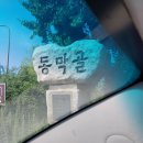 동막골시골집