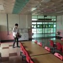 팔마방역