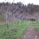 영하농장 이미지