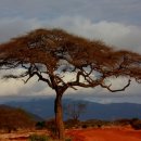 일상의 쉼표 힐링명상 이미지