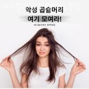 평택동미용실 에이블리헤어 평택역 본점 가격 위치 영업시간