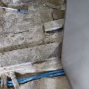 하이베라스텔 이미지