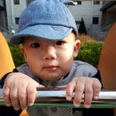 재께뜰근린공원 이미지