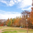 서동공원 이미지