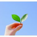 구주슈퍼 이미지