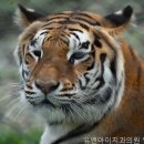 구정치과의원 네이버블로그