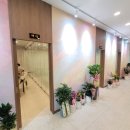 중화요리 뉴회룡 | 인제읍 뉴페이스 중화요리 전문점 [ 다미각 ] 내돈내산 방문 솔직 후기!!