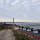 해안동백펜션 이미지