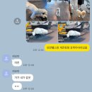 효성휘트니스센터 | 성남 모란역 헬스장 PT 추천 스카이뷰 휘트니스 박효성 트레이너쌤 피티 후기