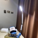 뷰티헤어칼라 | 제주왁싱 고민이라면 모블링왁싱 빠르고 꼼꼼한 시술 후기