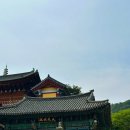 수진사 | 나의 첫 템플스테이🍃😌 : 수진사 템플스테이 후기