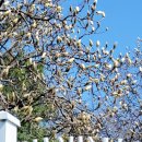 행정사사무소임광 이미지