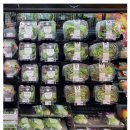 한정농장 이미지