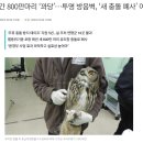 연간 800만마리 ‘꽈당’…투명 방음벽, ‘새 충돌 폐사’ 여전 이미지