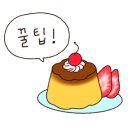 큰솔펜션 네이버블로그