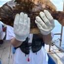 속초바다회 이미지