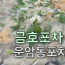 금호포차 이미지