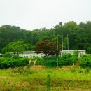 볼음도저어새생태마을 이미지