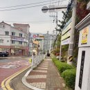 뽀송뽀송 애견미용 | 김해 삼계동 댕댕모아 애견미용 | 내돈내산 후기