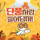 퍼스트안경.콘텍트 이미지
