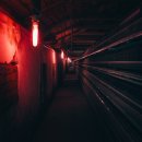 주름 개선 도움되는 레드파장 LED 마스크 추천 브랜드 비교와 선택 팁