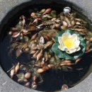 델라하우스 이미지