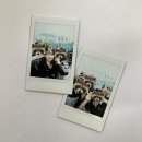키스PC(인-233) | 夏の兆し