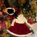 차차베리 이미지