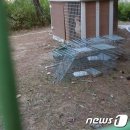 A마트 - 목포시 하당로221번길 3 | A마트