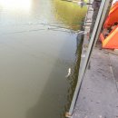 단강낚시터 이미지