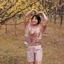 노르디스크 - 서산시 안견로 218 | 카리나옷, 노르디스크 여자 바람막이 & 반바지 등산복 코디 손민수 후기