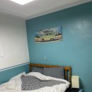 신촌 시스터즈 이미지