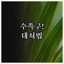 영락유치원 | 부산 서구 수족구 병원 위치와 증상 대처법 총정리