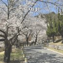 약목평생학습복지센터 | 구미 대구 근교 칠곡 약목 신유 장군 유적지 벚꽃 명소 봄 가을 산책로 드라이브 바람 쐬기 좋은...